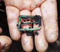 hand holding a brass buckle